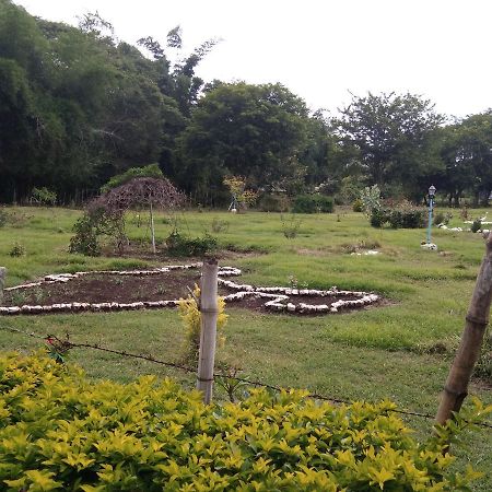 Blue Valley Jungle Resort Nīlgiri Extérieur photo