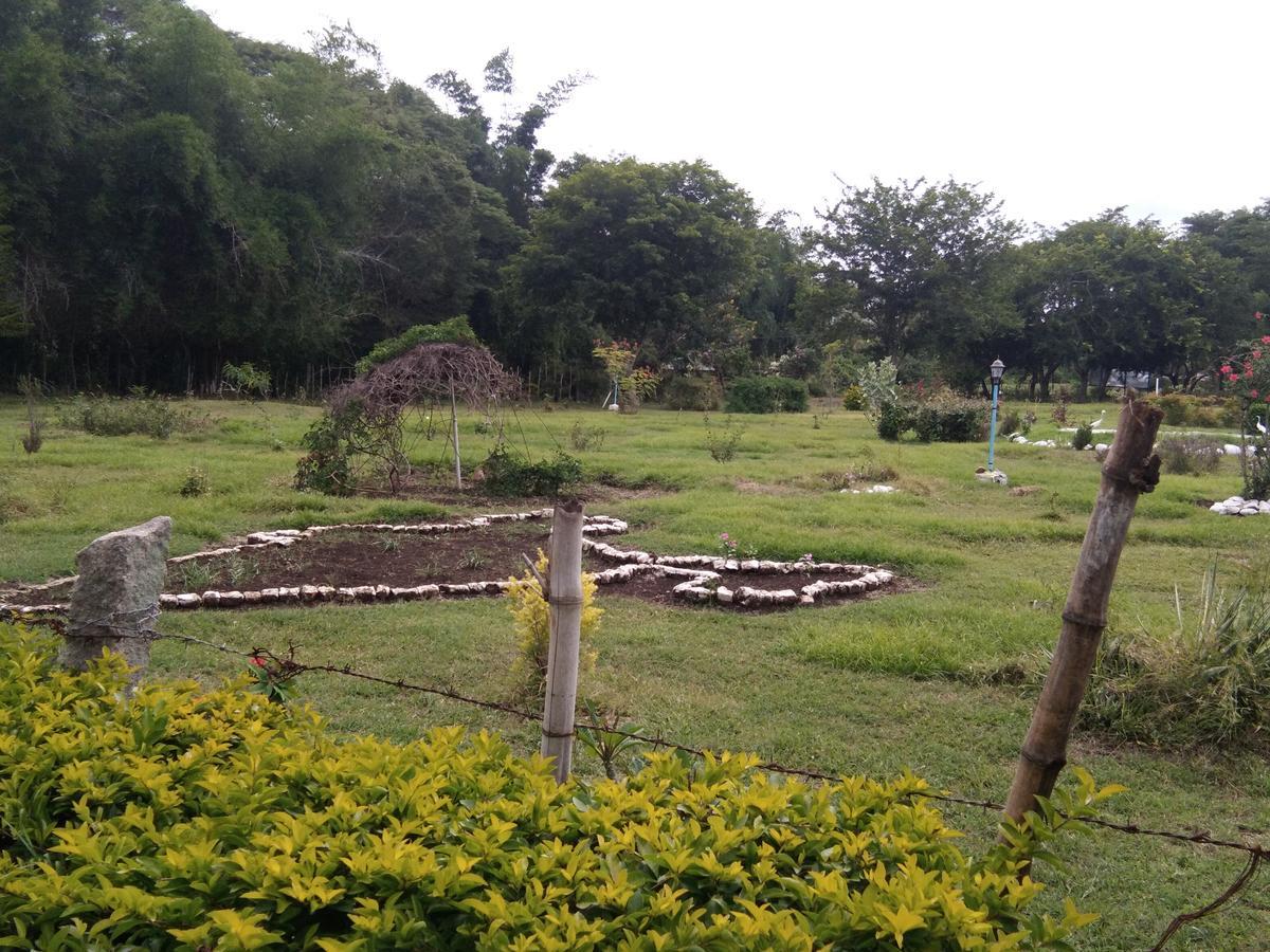 Blue Valley Jungle Resort Nīlgiri Extérieur photo